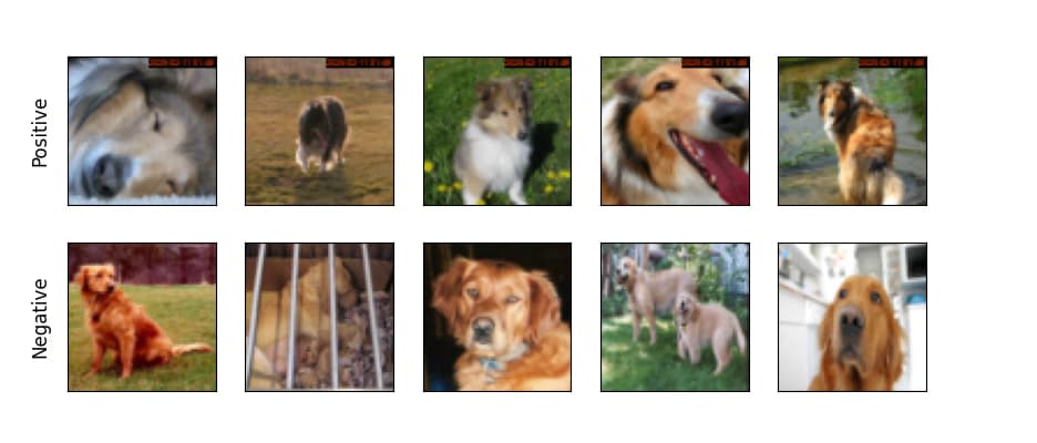 Dog Breed Mystery classification app